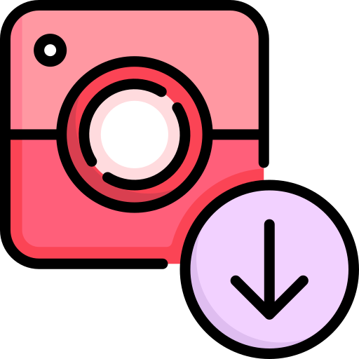 Instagram Video Downloader
